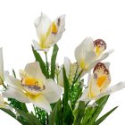 Orchidea csokor 7v krém M42cm 60db/#