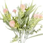 Bogáncs bokor 7ágú mix M38cm 60db/#