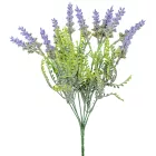 Levendula flokkolt bokor 7v. lila M35cm 48db/#