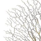 Glitteres legyező ág ezüst M44cm