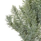 Fenyő ág hamvas M45cm