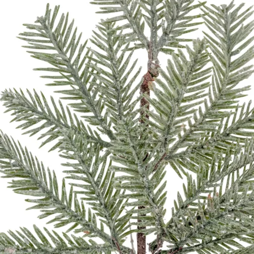 Fenyő ág hamvas M48cm