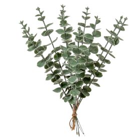 Eukaliptusz köteg hamvas 10ágú M35cm