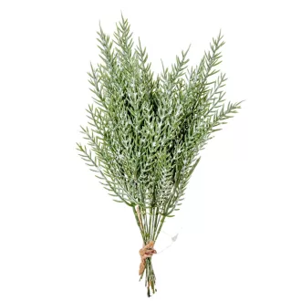 Tuja köteg deres 12ágú M26cm