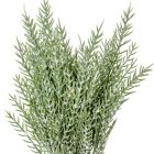 Tuja köteg deres 12ágú M26cm