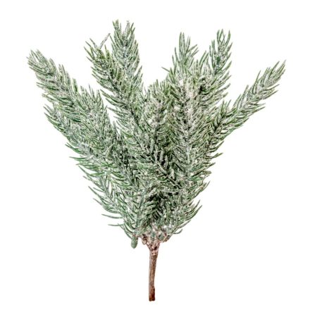 Fenyő pick havas M23cm