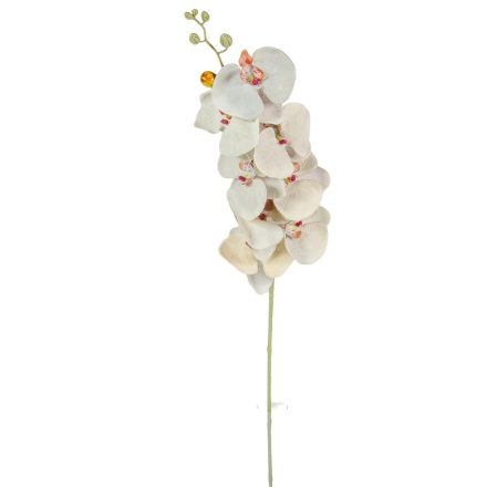 Orchidea szálas hamvas galamb szürke M90cm 36db/#