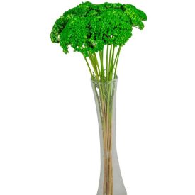 Achillea szárított sötétzöld