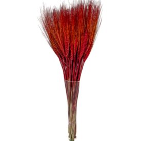 Búza szárított bordó