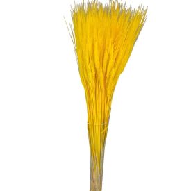 Búza szárított citrom