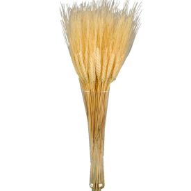 Búza szárított fehérített