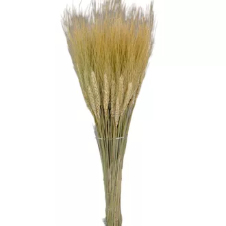 Búza szárított natúr