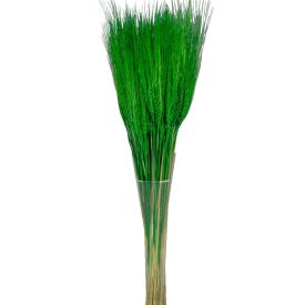 Búza szárított sötétzöld