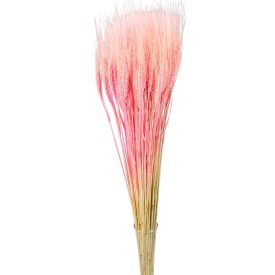 Búza szárított világosrózsaszín