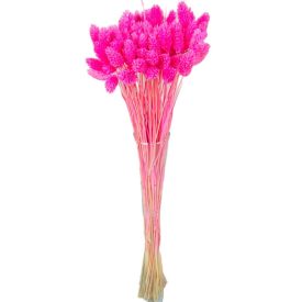 Fénymag szárított sötétrózsaszín