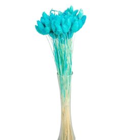 Fénymag szárított világoskék