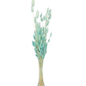 Lagurusz szárított menta