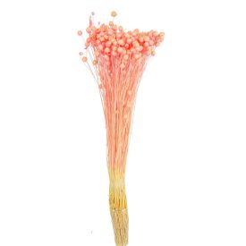 Len szárított világosrózsaszín