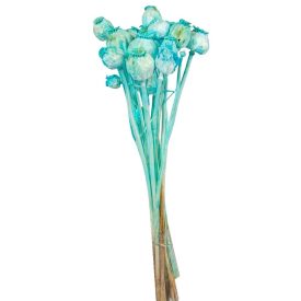 Mák szárított menta