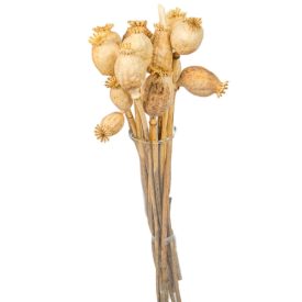 Mák szárított natúr