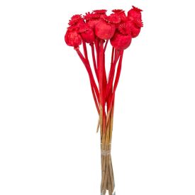 Mák szárított piros