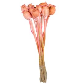 Mák szárított világosrózsaszín