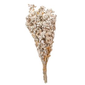 Sáfrány falfestékes fehér