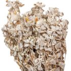 Sáfrány falfestékes fehér